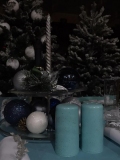 IMG-20211124-WA0002